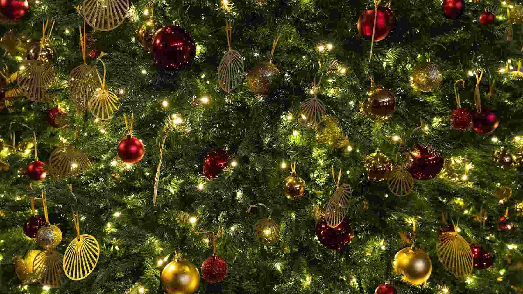 recycle Christmas lights